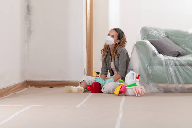 Reliable Mold Testing contractor in McHenry, MD by WQB Mold Removal